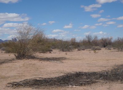 20 x 15 Unpaved Lot in Tonopah, Arizona near [object Object]