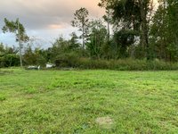 100 x 100 Unpaved Lot in Marianna, Florida