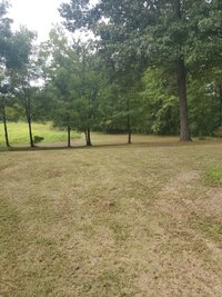 100 x 100 Unpaved Lot in Mercer, Tennessee