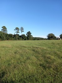 20 x 10 Unpaved Lot in Opp, Alabama