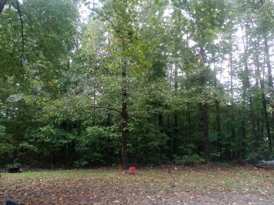 undefined x undefined Unpaved Lot in Reidsville, North Carolina