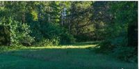 130 x 115 Unpaved Lot in Port Richey, Florida