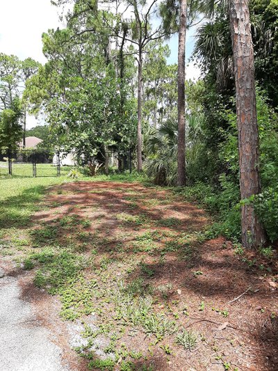 35 x 10 Unpaved Lot in Bonita Springs, Florida