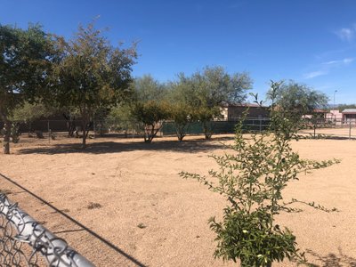 10×20 Unpaved Lot in Phoenix, Arizona