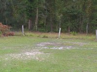 20 x 15 Unpaved Lot in Gainesville, Florida