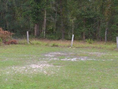 undefined x undefined Unpaved Lot in Gainesville, Florida