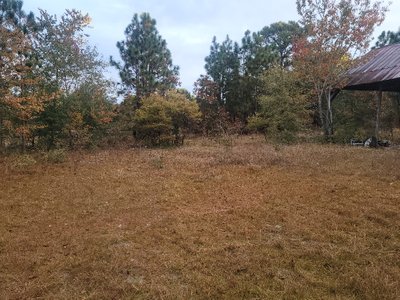 undefined x undefined Unpaved Lot in Pelion, South Carolina