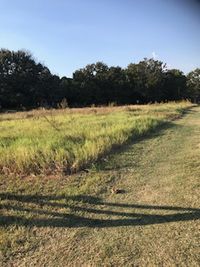 30 x 15 Unpaved Lot in Tyler, Texas