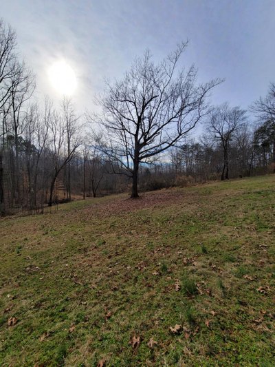 undefined x undefined Unpaved Lot in Randleman, North Carolina