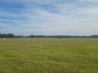 50 x 10 Unpaved Lot in High Springs, Florida