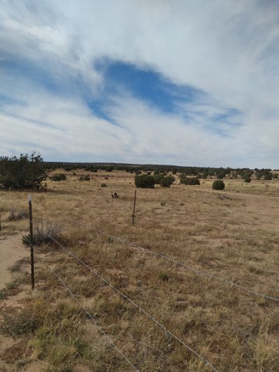 20 x 10 Unpaved Lot in Concho, Arizona near [object Object]