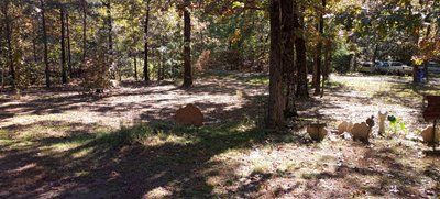undefined x undefined Unpaved Lot in Searcy, Arkansas