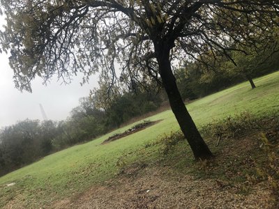 264 x 1000 Unpaved Lot in Cleburne, Texas near [object Object]