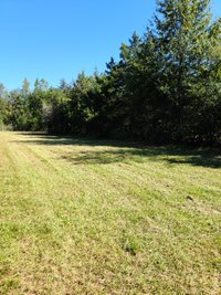 50 x 10 Unpaved Lot in Middleburg, Florida