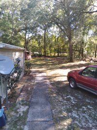 100 x 50 Unpaved Lot in Fanning Springs, Florida