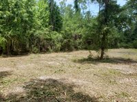 30 x 60 Unpaved Lot in Fort White, Florida