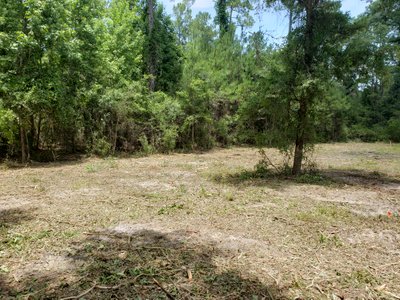 25 x 14 Unpaved Lot in Fort White, Florida