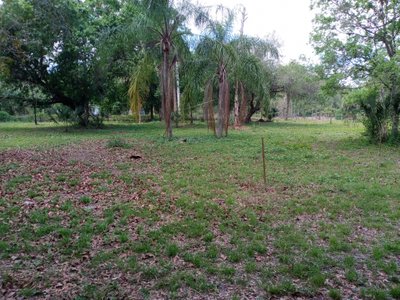20 x 10 Lot in Clewiston, Florida