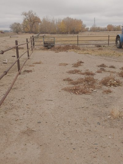 40×12 Unpaved Lot in Fort Lupton, Colorado
