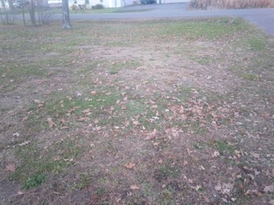 30 x 10 Unpaved Lot in Balsam Lake, Wisconsin
