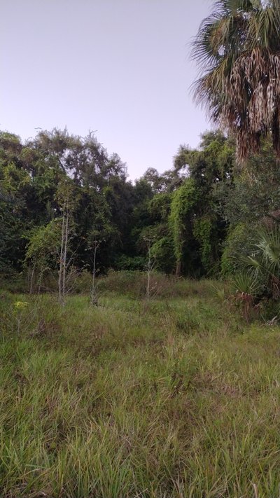 20 x 10 Lot in , Florida