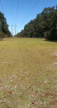 30 x 10 Unpaved Lot in , Florida
