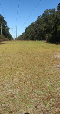 12 x 10 Unpaved Lot in , Florida