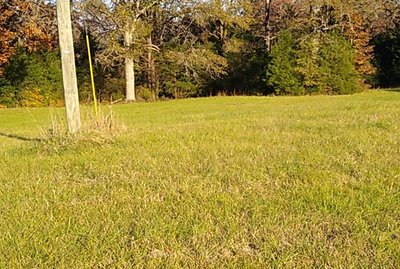 undefined x undefined Unpaved Lot in Montevallo, Alabama