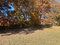 30 x 60 Unpaved Lot in Pine Knot, Kentucky