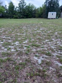 20 x 10 Unpaved Lot in Mims, Florida
