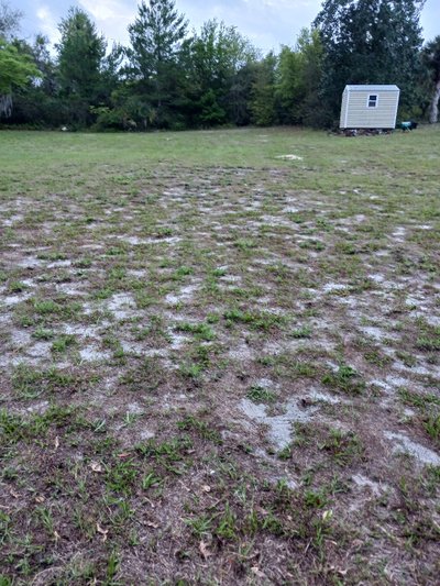 20 x 10 Unpaved Lot in Mims, Florida near [object Object]