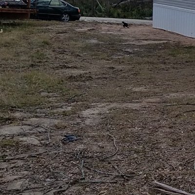 20 x 10 Unpaved Lot in Sulphur, Louisiana