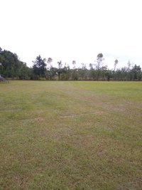 35 x 12 Unpaved Lot in Newberry, Florida