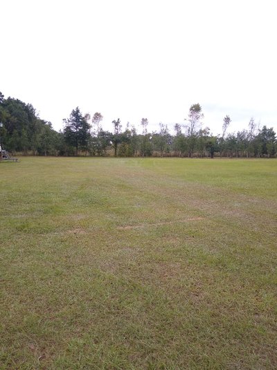 35 x 12 Unpaved Lot in Newberry, Florida
