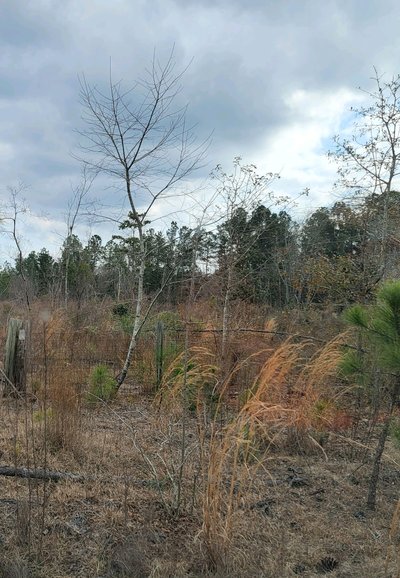 undefined x undefined Unpaved Lot in Fitzgerald, Georgia