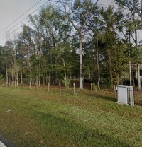 25 x 13 Unpaved Lot in Brooksville, Florida