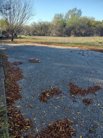 12 x 20 Parking Lot in Uvalde, Texas near [object Object]