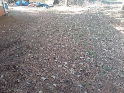 undefined x undefined Unpaved Lot in Carrollton, Georgia