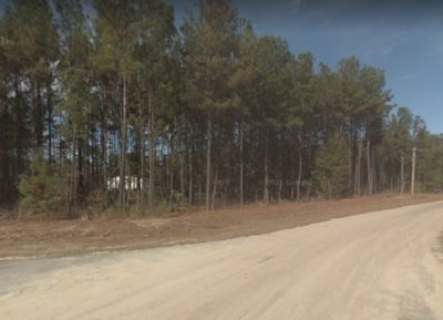 undefined x undefined Unpaved Lot in Brooklet, Georgia