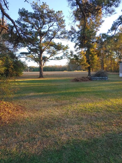 30 x 25 Unpaved Lot in Vanceboro, North Carolina near [object Object]