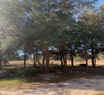 undefined x undefined Unpaved Lot in Fort White, Florida