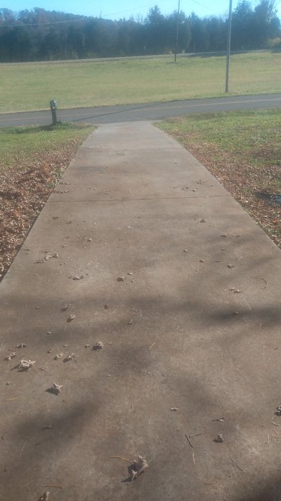 30 x 10 Driveway in Strawberry Plains, Tennessee near [object Object]