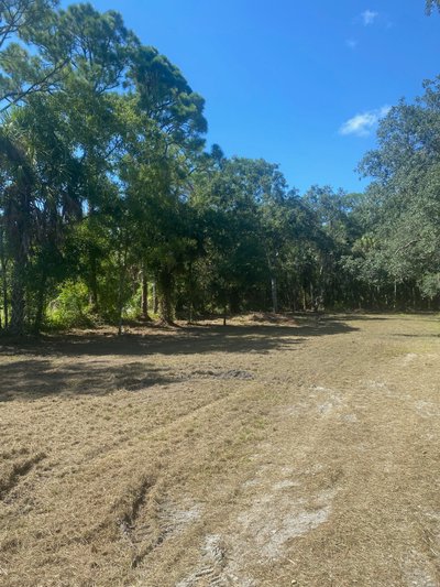25 x 50 Unpaved Lot in Melbourne, Florida near [object Object]