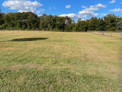 30 x 15 Unpaved Lot in Land O' Lakes, Florida