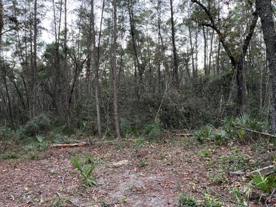 40 x 15 Unpaved Lot in , Florida