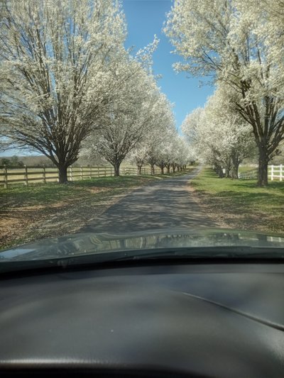 20 x 10 Driveway in Pittsboro, North Carolina