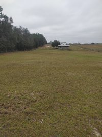 20 x 10 Unpaved Lot in Brooksville, Florida