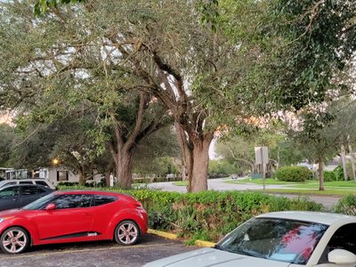 20 x 10 Parking Lot in Plantation, Florida
