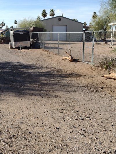Small 10×20 Unpaved Lot in Apache Junction, Arizona
