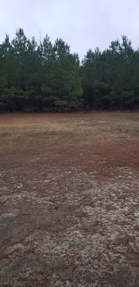30 x 10 Unpaved Lot in Manning, South Carolina